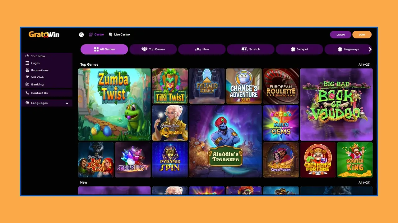 Was ist die mobile Version und wie wird sie verwendet?